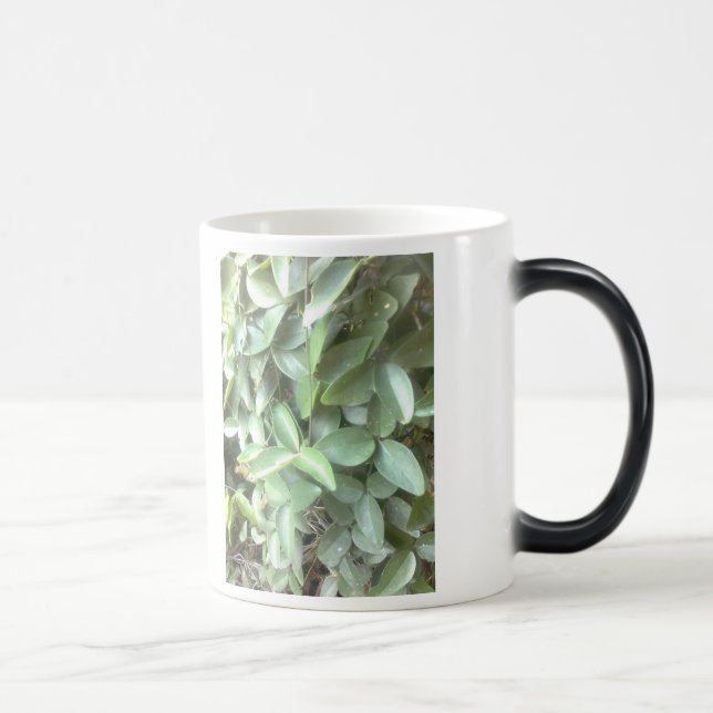 Taza morphing de la foto (Derecha)