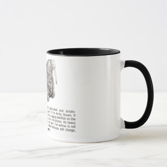 Taza morsa (Derecha)