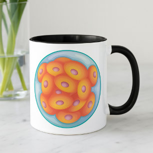 Taza Morula