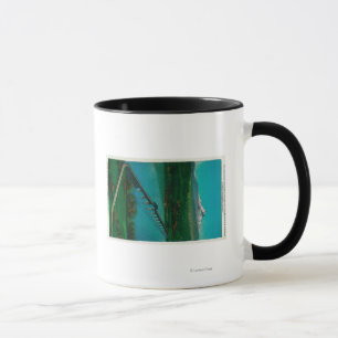 Taza Mt. Capilla y puente de la autopista en los