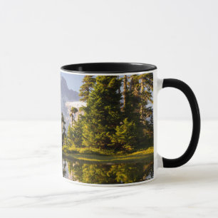 Taza Mt. Rainier reflejado en un tarn cerca de Plummer