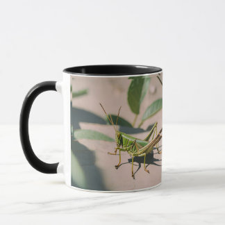 Taza Mug de cerámica de grava inspirada en la naturalez