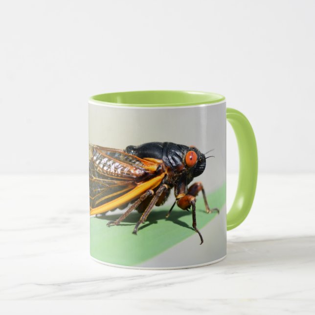 Taza Mug de cigarra periódica - disfrutar del café con  (Anverso derecho)