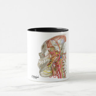 Taza Mug de fossa temporal e infratemporal