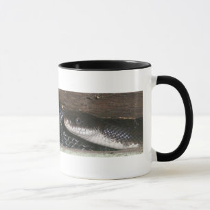 Taza Mug de serpiente negra #1