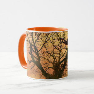 Taza Mug Twisted Autumt Tree Al Atardecer