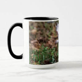 Taza Mugre de ardilla blanca