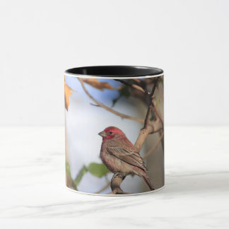 Taza Mugre de dos tonos con la foto de una finca de cas