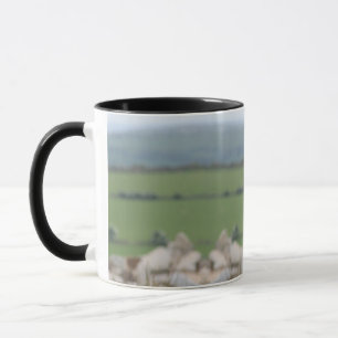 Taza Mugre de Greyhound 03