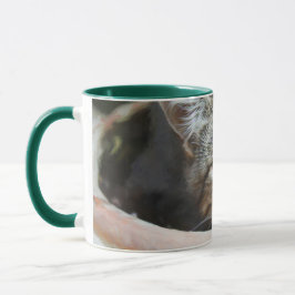 Taza Mugre de ojos de gato verde