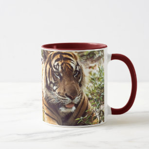 Taza Mugre de tigre de Sumatra