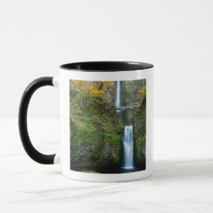 Taza Multnomah Cae En Otoño En El Desfiladero De Colum