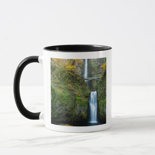 Taza Multnomah Cae En Otoño En El Desfiladero De Columb (Izquierda)