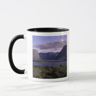 Taza N.A., Canadá, Terranova, Gros Morne National 2