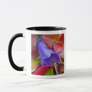Taza N.A., EE. UU., Alaska. Campanilla azul en la tund