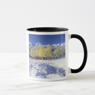 Taza N.A., EE. UU., Colorado, montañas San Juan Nieve f
