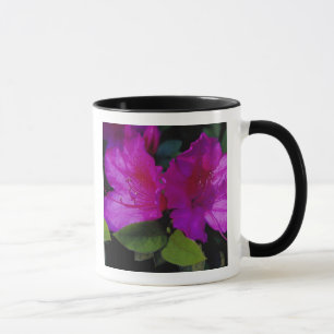 Taza N.A. EE. UU., Georgia, Savannah. Azalea en flor.