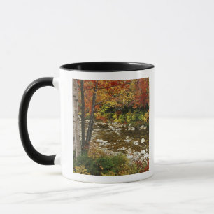 Taza N.A., EE. UU., Nuevo Hampshire, Montañas Blancas,