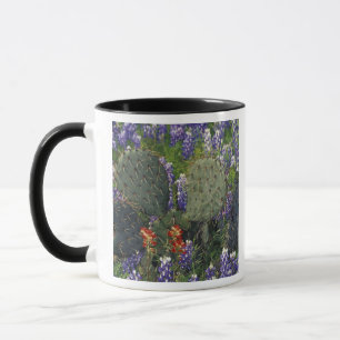 Taza N.A., EE. UU., Texas, Cactus rodeado de