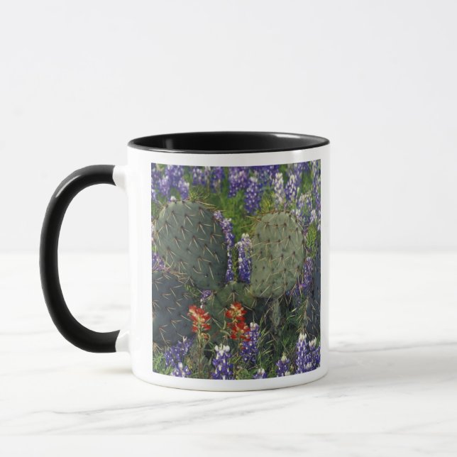 Taza N.A., EE. UU., Texas, Cactus rodeado de (Izquierda)