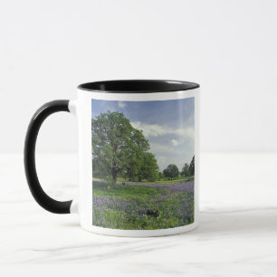Taza N.A, EE. UU., Texas, lago Buchanan, robles y azul