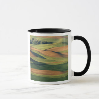 Taza N.A., EE. UU., Washington, condado de Whitman.