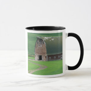 Taza N.A., EE. UU., Washington, Condado de Whitman. Ant