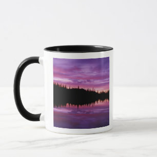 Taza N.A., EE. UU., Washington, Mt. Rainier Nacional 2