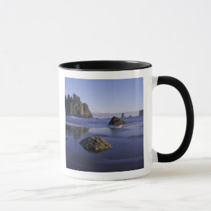 Taza N.A., EE. UU., Washington, Parque Nacional Olímpic
