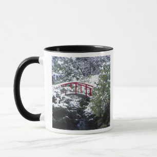 Taza N.A., EE. UU., Washington, Seattle. Puente lunar e