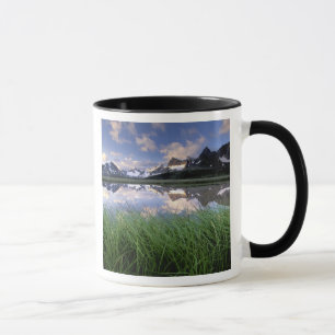 Taza NA, Canadá, Alberta, Tonquin Valley. Jasper