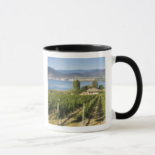 Taza NA; Canadá; Columbia Británica; Valle de Okanagan;