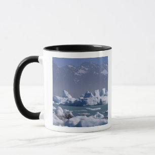 Taza NA, EE.UU., Alaska, Cordillera St. Elias, Río Als