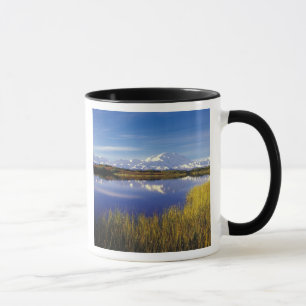 Taza NA, EE.UU., Alaska, Denali NP Mt. McKinley en