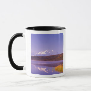 Taza NA, EE. UU., Alaska, Parque Nacional Denali, Wonde