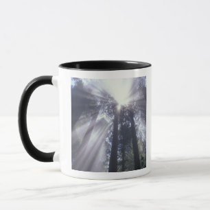 Taza NA, EE.UU., California. Estado costero del Norte 2