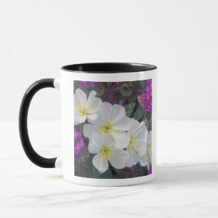 Taza NA, EE.UU., California, Estado del Desierto de Anz