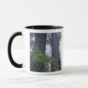 Taza NA, EE. UU., California. Parque Estatal Costa Del