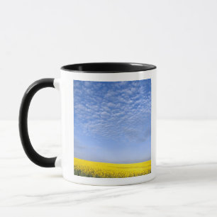 Taza Na, EE. UU., ID, Grangeville, Campo de cultivo de