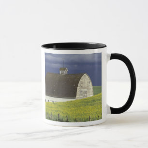 Taza NA, EE. UU., Idaho, al sur de Genesse, campo de ca
