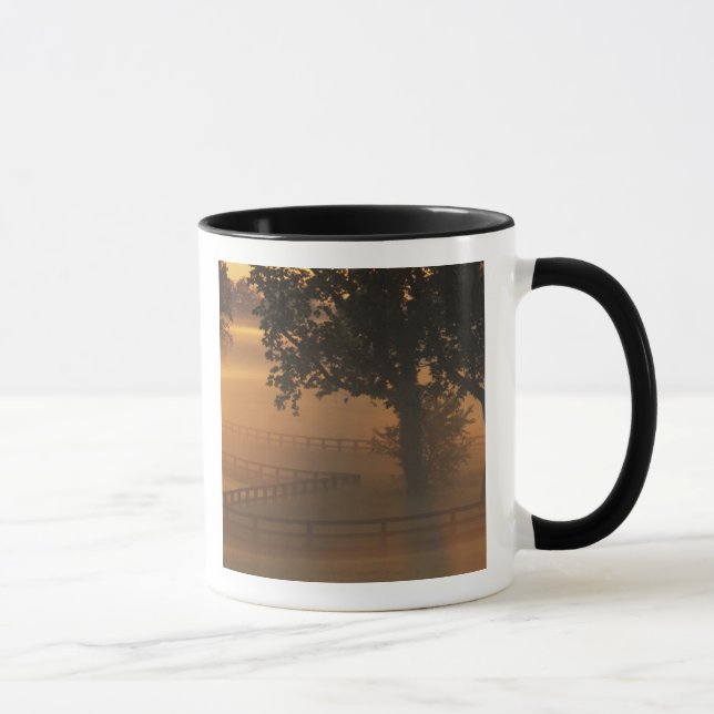Taza NA, EE.UU., Kentucky. Foggy amanecer en Kentucky (Derecha)