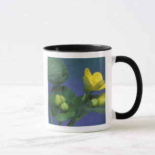 Taza NA, EE. UU., Michigan, Rochester Hills. Marisma