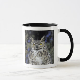 Taza NA, EE. UU., Nuevo México, Wildlife West Nature Pa