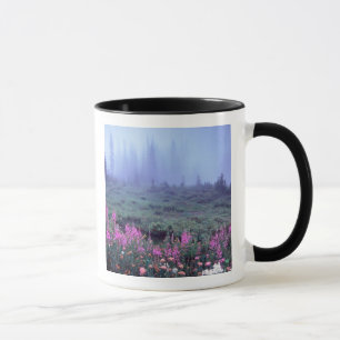 Taza NA, EE.UU., Washington, Foggy Alpine Meadow, Mt.