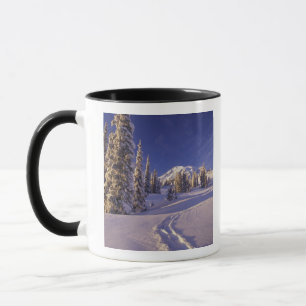 Taza NA, EE. UU., Washington, Mt. Rainier NP, Raquetas 