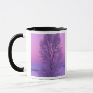 Taza NA, EE. UU., Wyoming, Parque Nacional Yellowstone,
