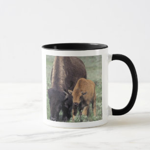 Taza NA, EE. UU., Wyoming, Parque Nacional Yellowstone.