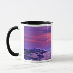 Taza NA, EE. UU., Wyoming, Yellowstone NP, Lamar Valley