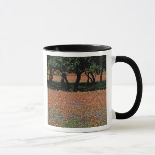 Taza NA, Texas, Texas Hill Country, presa de Buchan,