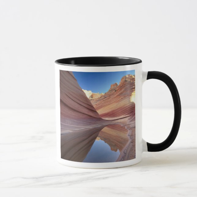 Taza NA, USA, Utah, Vermilliones Cliffs. Buey coyote 2 (Derecha)